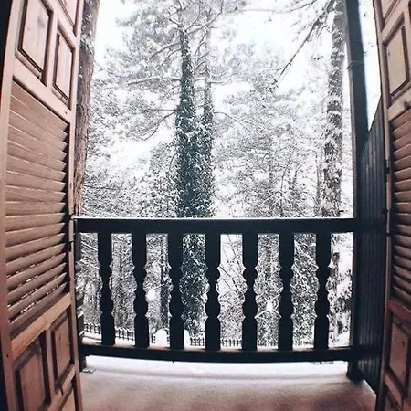 Hotel Milionis Forest 2*