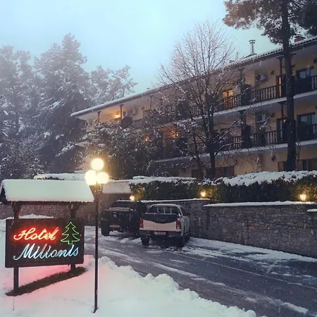 Hotel Milionis Forest Grevena