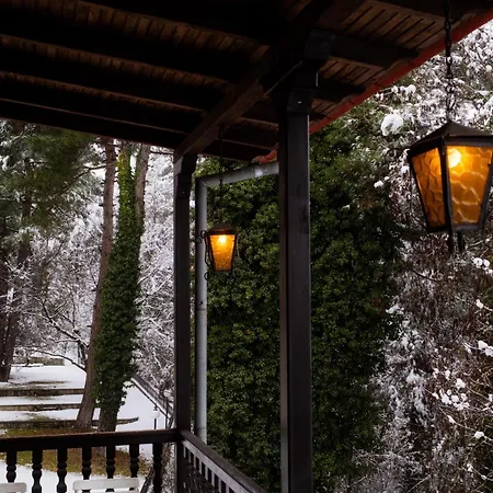 Hotel Milionis Forest