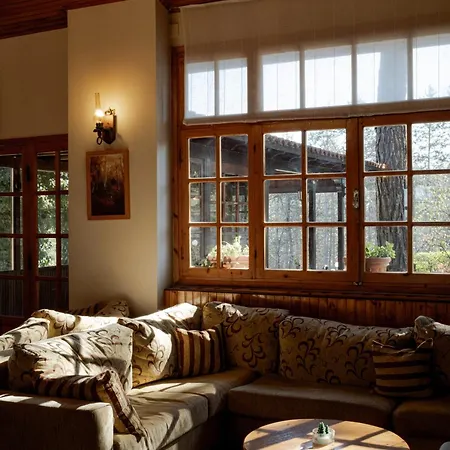 Hotel Milionis Forest 2*