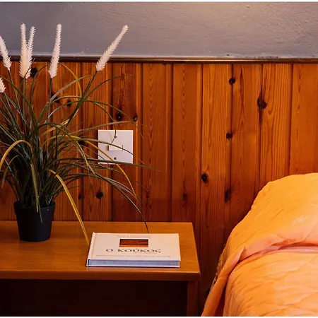 Milionis Forest Szálloda 2*