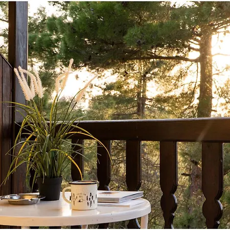 Milionis Forest Grevená