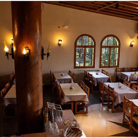 Hotel Milionis Forest