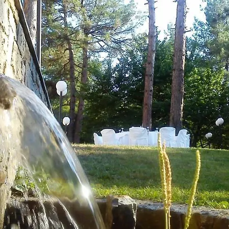 Szálloda Milionis Forest