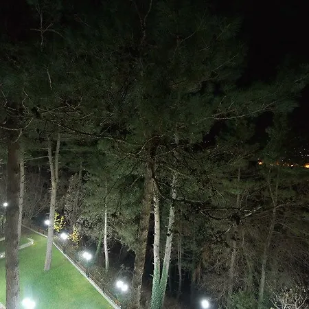 Milionis Forest