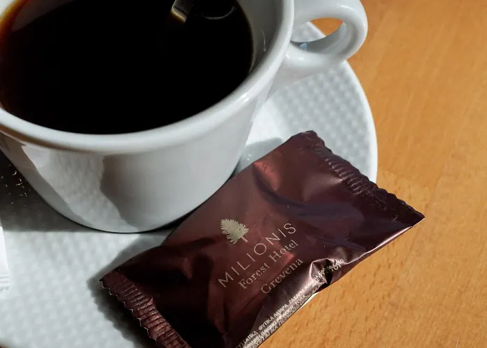 Milionis Forest Szálloda 2*