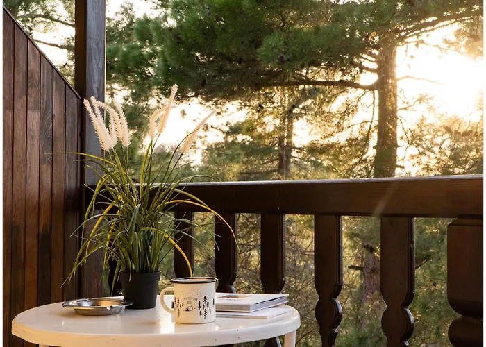 Milionis Forest Grevená